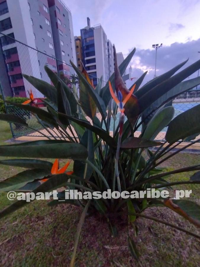 Apto Cond Ilhas Do Caribe - Pr - Beira Mar ماتينيوس المظهر الخارجي الصورة