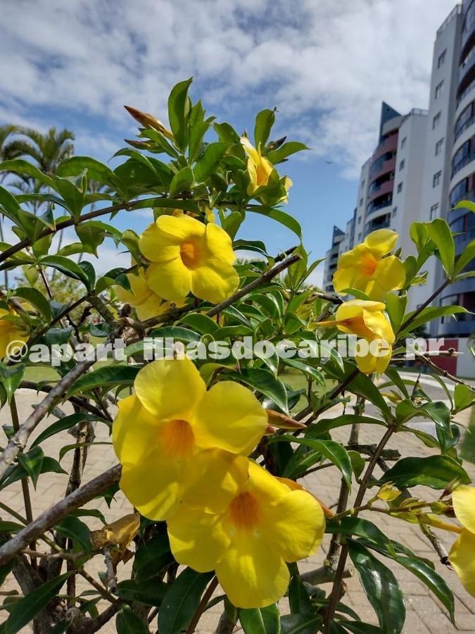 Apto Cond Ilhas Do Caribe - Pr - Beira Mar ماتينيوس المظهر الخارجي الصورة